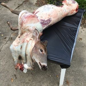 Meet your Posher, Zachary